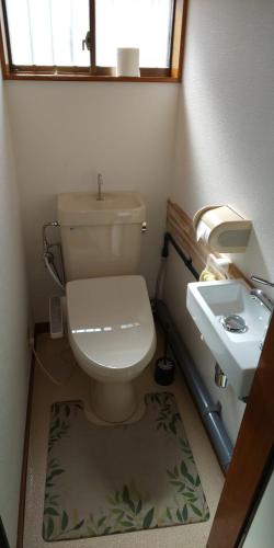 a small bathroom with a toilet and a sink at Akira Peak House Kinugawa in Kinugawaonsen Ohara