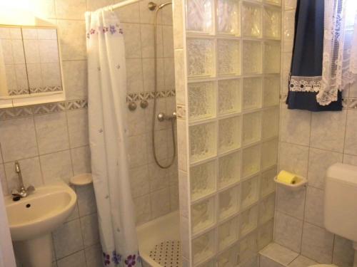 ザラカロシュにあるApartments in Zalakaros 20675のバスルーム(シャワー、トイレ、シンク付)
