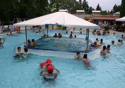 a group of people sitting in a swimming pool at Holiday home in Leanyfalu - Donauknie 35231 in Leányfalu