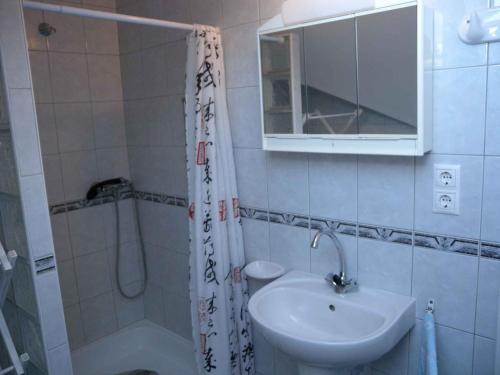 ザラカロシュにあるApartment Zalakaros 6のバスルーム(シンク、シャワー、鏡付)