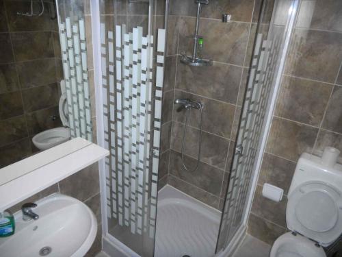 メドゥリンにあるApartments in Medulin/Istrien 26776のバスルーム(シャワー、トイレ、洗面台付)