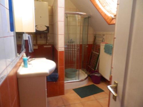 a bathroom with a shower and a sink at Apartments in Cserkeszolo/Ostungarn 34460 in Cserkeszőlő