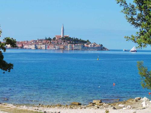 Apartment in Rovinj/Istrien 11735