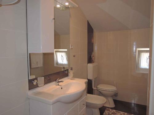 a bathroom with a sink and a toilet and a mirror at Apartment in Bribir 15452 in Bribir