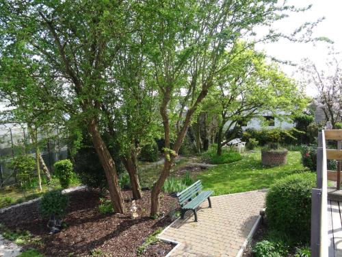a park bench sitting next to a tree at Hostellerie Daiseldaele in Dadizele