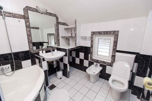 W łazience znajduje się umywalka, toaleta i lustro. w obiekcie Three-Bedroom Apartment in Crikvenica IV w mieście Klanfari