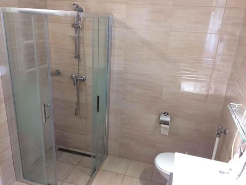 a shower with a glass door in a bathroom at Holiday home in Siofok - Balaton 19801 in Siófok
