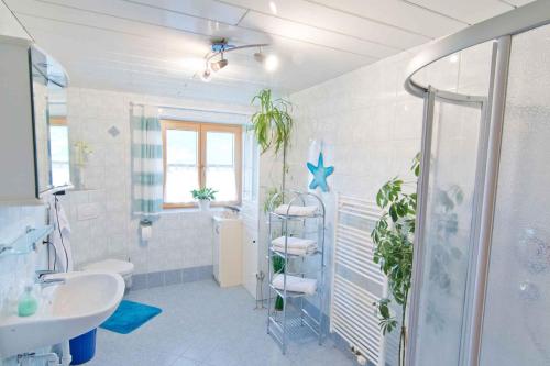 シュリッタースにあるApartment in Schlitters with One-Bedroom 1のバスルーム(シャワー、トイレ、シンク付)