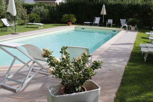 a plant in a pot next to a swimming pool at Apartment in Lucca/Toskana 23961 in San Cassiano a Moriano