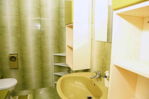 ein kleines Bad mit einem Waschbecken und einem WC in der Unterkunft Apartment Brna 2 in Brna