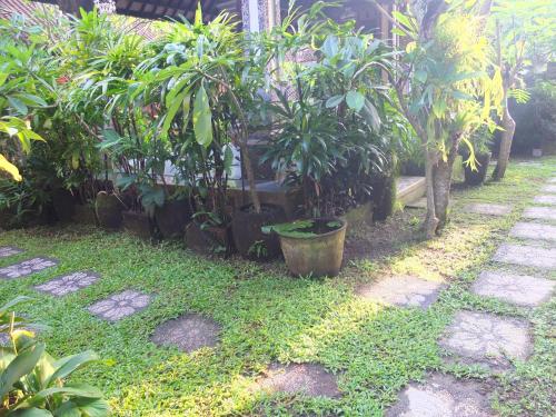 a garden with trees and plants in a yard at Leket house in Ubud