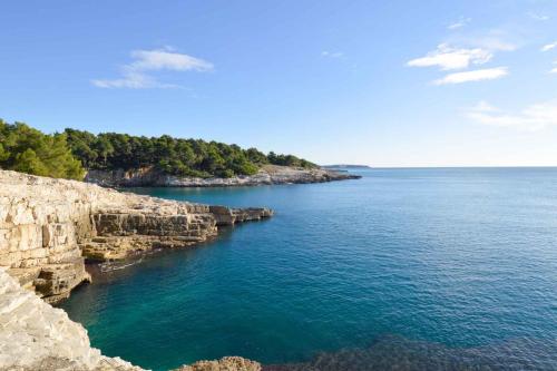 a large body of water next to a rocky shore at One-Bedroom Apartment in Pula IX in Veruda