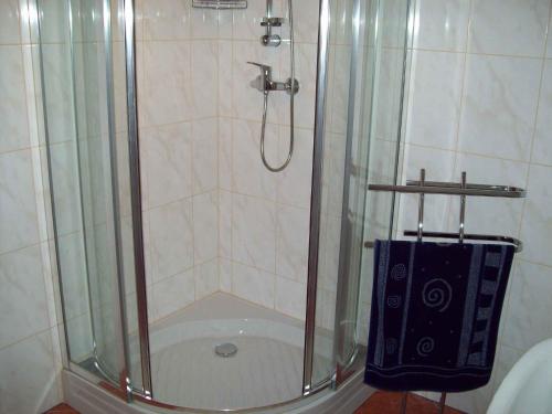 a shower in a bathroom with a glass door at Holiday home in Mosbach 3183 in Mosbach