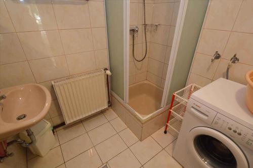 a bathroom with a shower and a washing machine at Apartment in Pula/Istrien 17325 in Vintijan