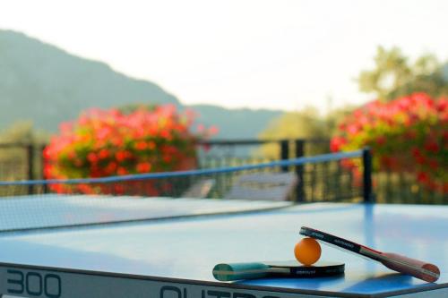 a ping pong table with a ball and a racket at Logis Hotel Restaurant La Porte des Cévennes in Anduze
