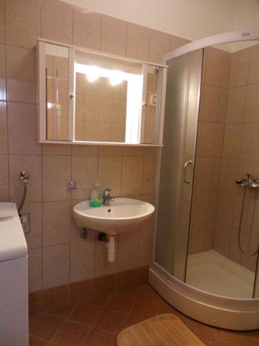 a bathroom with a sink and a shower with a mirror at Apartment Ljubac 2 in Krneša