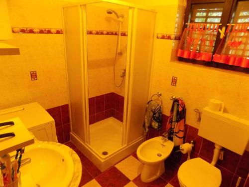 a bathroom with a shower and a toilet and a sink at Apartment Pridraga 1 in Pridraga