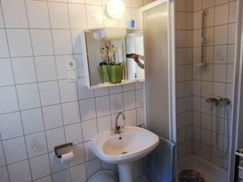 ザラカロシュにあるApartment in Zalakaros - Thermalbad 20674の洗面台と鏡のある白いバスルーム