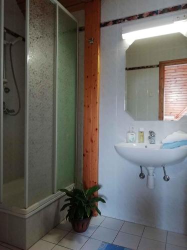 ザラカロシュにあるApartment in Zalakaros/Thermalbad 20677のバスルーム(洗面台、ガラス張りのシャワー付)