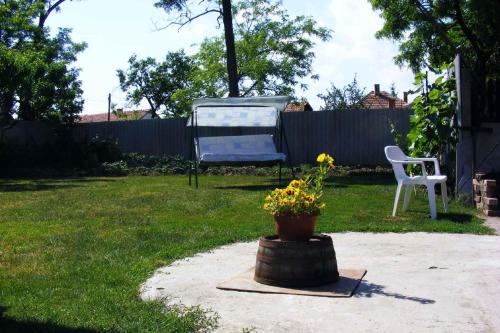 Holiday home Abadszalok/Theiss-See 20563 5241 Bánomszőlő kép - 3