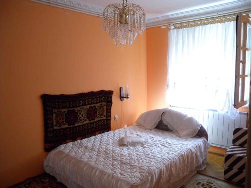 シオーフォクにあるHoliday home in Siofok/Balaton 19877のベッドルーム1室(シャンデリア付きのベッド1台付)