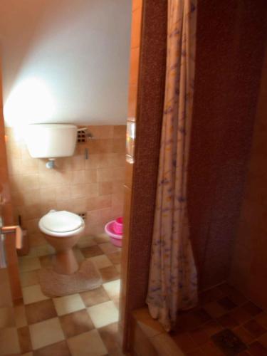 バラトンケレストゥールにあるHoliday home in Balatonmariafürdo 19576のバスルーム(トイレ、シャワーカーテン付)