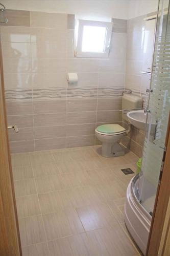 a bathroom with a toilet and a sink at Apartment Povljana 3 in Povljana
