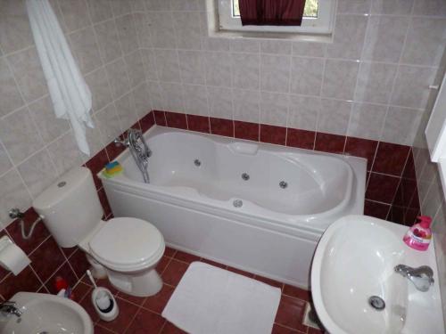 Koupelna v ubytování Apartment Barbat 9