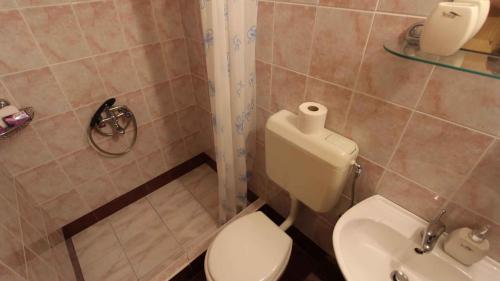 a bathroom with a toilet and a sink at Apartment Porat 22 in Porat