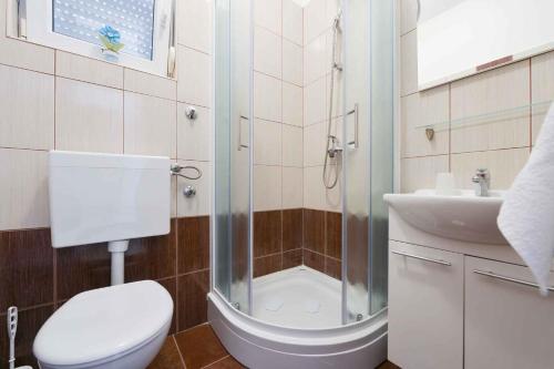 uma casa de banho com um chuveiro, um WC e um lavatório. em Apartment in Ljubac/Zadar Riviera 8095 em Ljubac
