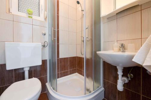 uma casa de banho com um chuveiro, um WC e um lavatório. em Apartment Ljubac 5 em Ljubac