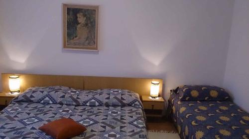 um quarto com uma cama e uma fotografia na parede em Apartment Privlaka 5 em Privlaka