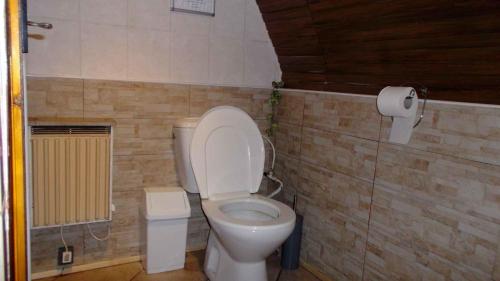 ein Bad mit einem WC und einer Rolle Toilettenpapier in der Unterkunft Holiday home in Svahova/Erzgebirge 1694 in Svahová