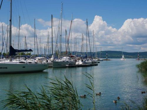 バラトンレッレにあるApartments in Balatonlelle/Balaton 19180の港にたくさんの船が停泊している