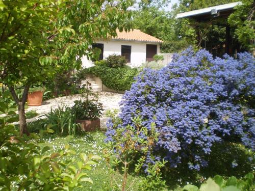 Holiday home in Medulin/Istrien 9196