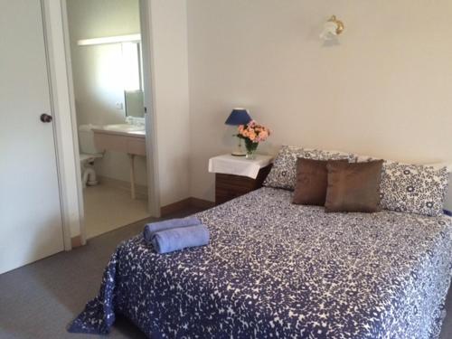 1 dormitorio con cama, mesa y espejo en Tarcutta Retreat, en Tarcutta