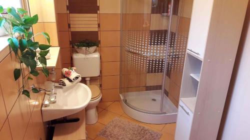 ギェネシュディアーシュにあるApartment Gyenesdias 13のバスルーム(トイレ、洗面台、シャワー付)