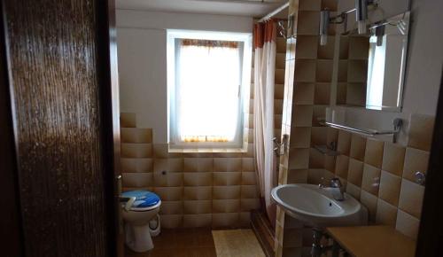 a bathroom with a sink and a toilet and a window at Apartment in Pula/Istrien 10835 in Vintijan