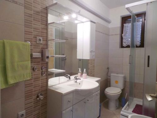a bathroom with a sink and a toilet and a shower at Apartment Fazana, Istria 11 in Fažana