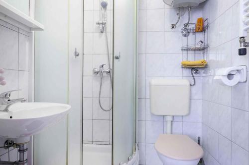 ein Badezimmer mit Toilette, Waschbecken und Dusche in der Unterkunft Apartment Pula 6 in Pula