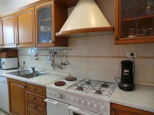 a kitchen with a stove and a sink at Apartments in Valbandon/Istrien 8381 in Štinjan