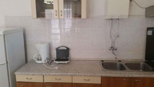 a kitchen counter with a sink and a blender at Apartment Zaglav 2 in Zaglav