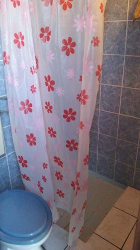 a bathroom with a toilet and a shower curtain with flowers at Holiday home Zaglav - Insel Dugi Otok 6296 in Zaglav