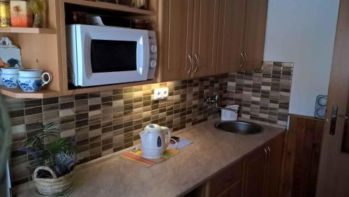 a kitchen counter with a sink and a microwave at Holiday home in Pernink/Erzgebirge 1672 in Pernink