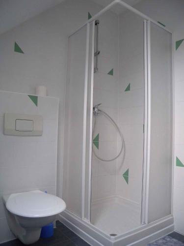 a white bathroom with a shower and a toilet at Apartment in Frantiskovy Lazne 1609 in Dolní Lomany