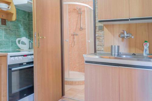 a kitchen with a sink and a shower at Apartment Svoboda nad upou 1 in Svoboda nad Úpou