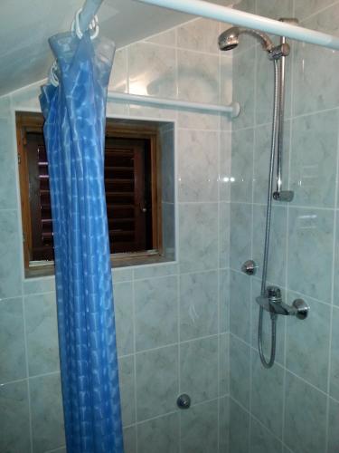 a shower with a blue shower curtain in a bathroom at Guesthouse Lidija in Kukljica