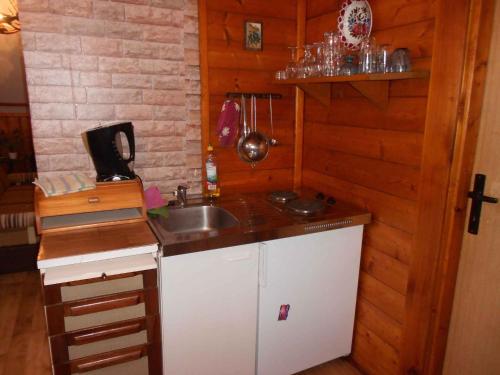 a kitchen with a sink and a counter top at Holiday home in Dolni Dvur 2374 in Dolni Dvur