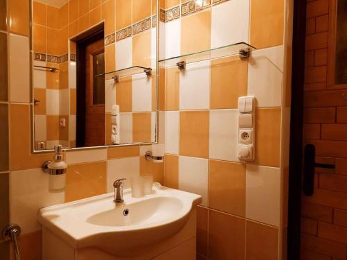 y baño con lavabo y espejo. en Holiday home in Dolce u Trutnova 2310, en Oblanov
