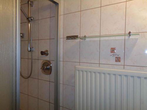 a bathroom with a shower and a radiator at Apartment in Schmirn/Tirol 717 in Hochmark